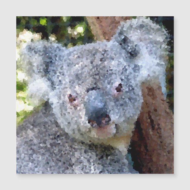 Poly Animals - Koala (Framsida)