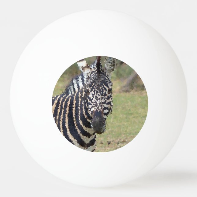 Poly Animals - Zebra Pingisboll (Framsidan)