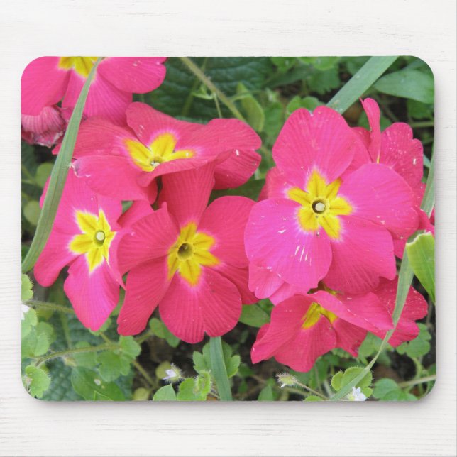 Polyanthus Mousepad Musmatta (Framsidan)