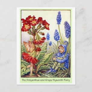 Polyanthus- och druvahyacintfe vykort