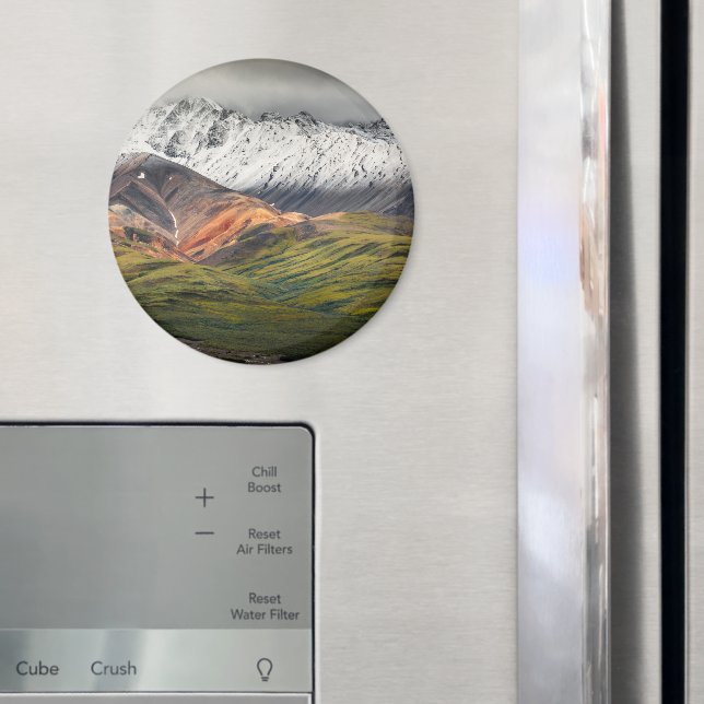 Polychrome-berget, Denali NP, Alaska Magnet (In Situ (Fridge))