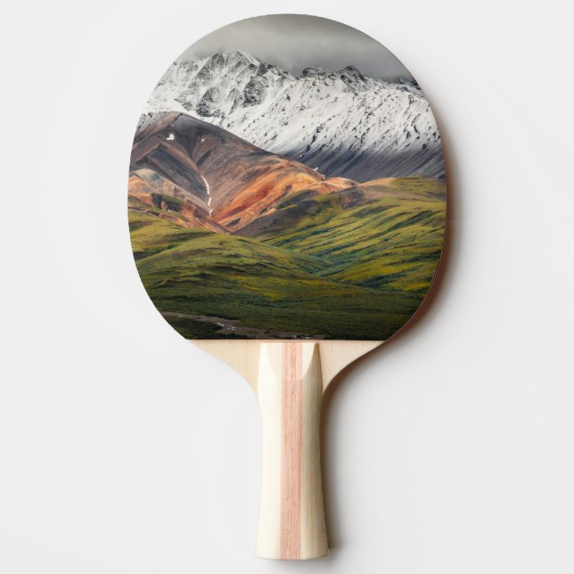 Polychrome-berget, Denali NP, Alaska Pingisracket (Baksidan)