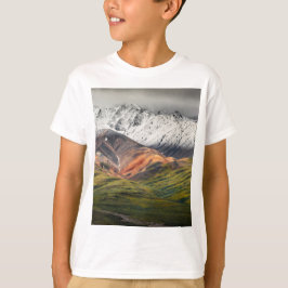 Polychrome-berget, Denali NP, Alaska T Shirt