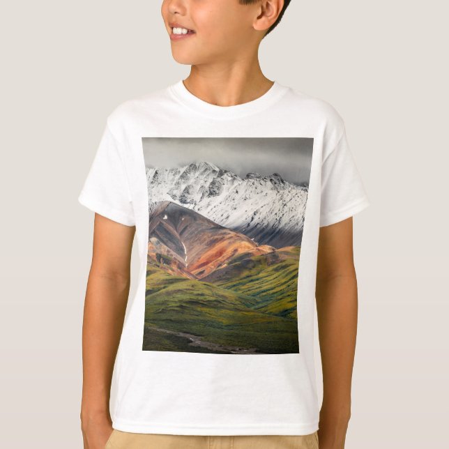 Polychrome-berget, Denali NP, Alaska T Shirt (Framsida)