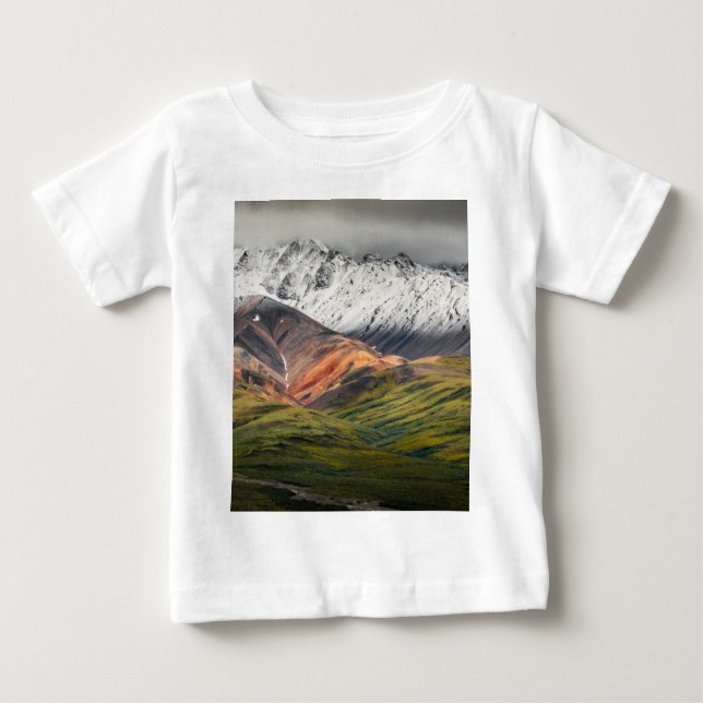 Polychrome-berget, Denali NP, Alaska T Shirt (Framsida)