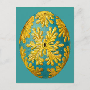Polyclinum konstellatum, Ernst Haeckel-Vintagen Vykort