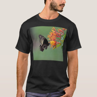 Polydamus Swallowtail fjäril T Shirt