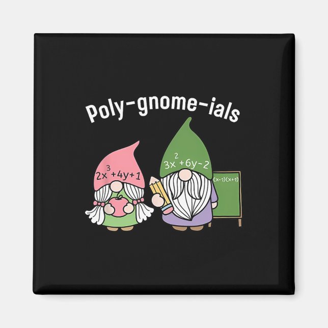 Polygnomeials Math Teacher Magnet (Framsidan)