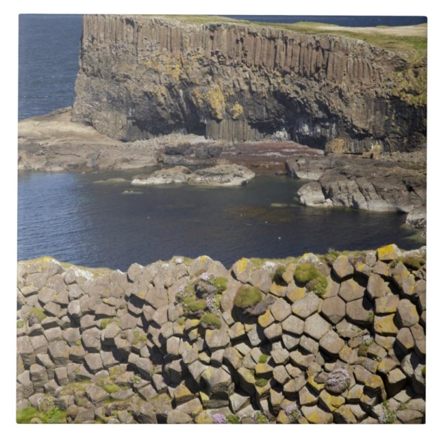 Polygonal basalt, Staffa, utanför Isle of Mull, Kakelplatta (Framsidan)