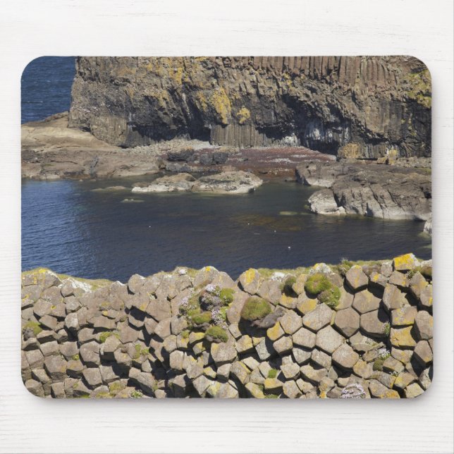 Polygonal basalt, Staffa, utanför Isle of Mull, Musmatta (Framsidan)