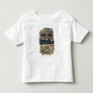 Polygonal basalt, Staffa, utanför Isle of Mull, T-shirt