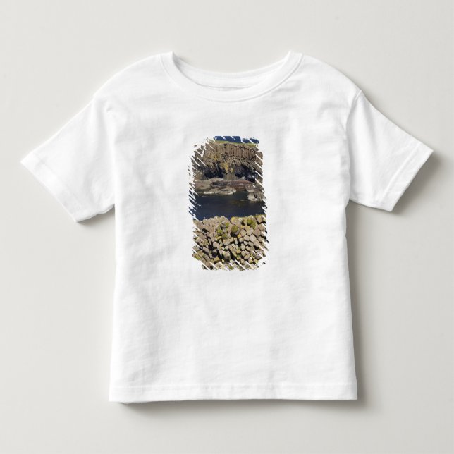 Polygonal basalt, Staffa, utanför Isle of Mull, Tee (Framsida)