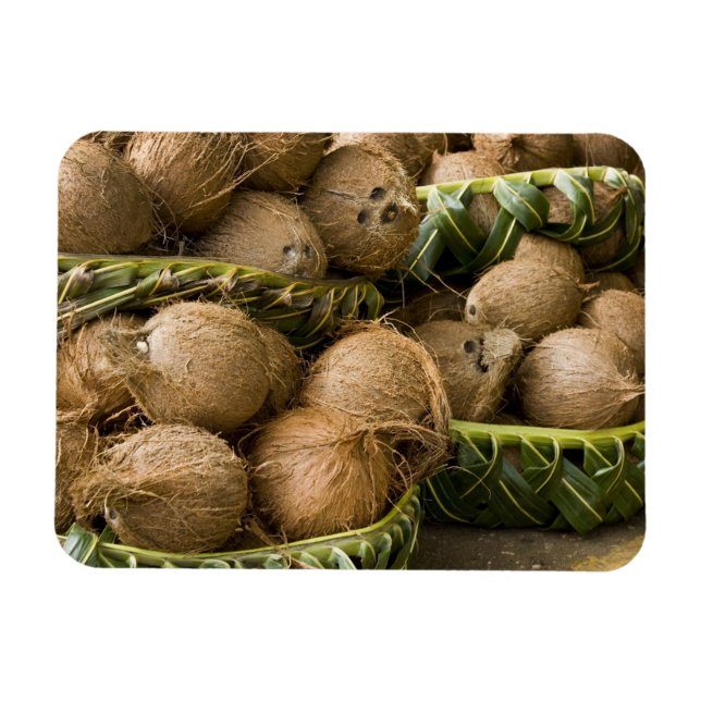 Polynesien, Konungariket Tonga. Visning av kokosnö Magnet (Horisontell)