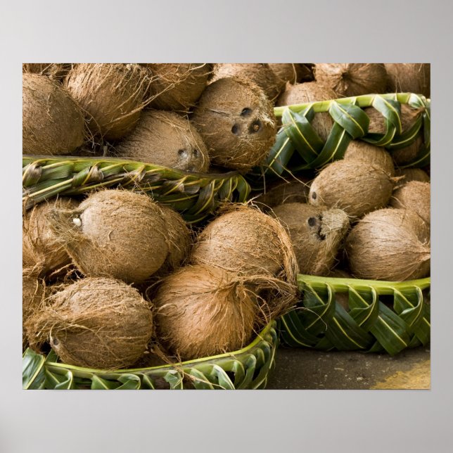 Polynesien, Konungariket Tonga. Visning av kokosnö Poster (Framsidan)