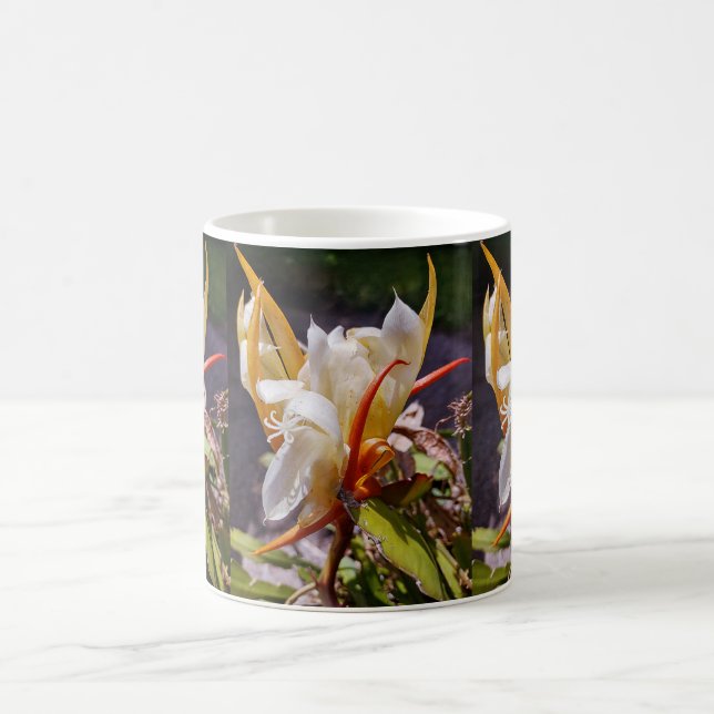 POLYNESISK DRAKEKAKTUS NATTBLOMNING KAFFEMUGG (Center)