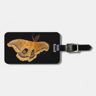 Polyphemus mal bagagebricka