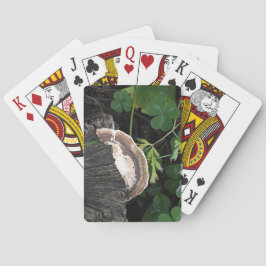 Polypore Fungus på Stump i Träd Casinokort