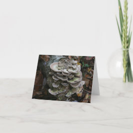 Polyporsvampekort (blank) tack kort