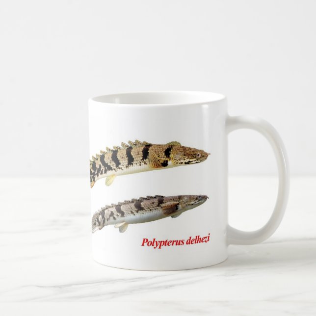 Polypterus delheziのマグカップ kaffemugg (Höger)
