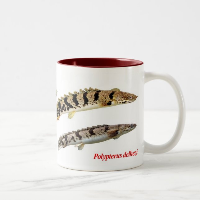 Polypterus delheziのマグカップ Två-Tonad mugg (Höger)
