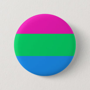 Polysexual Pride Flagga HBT-Pride Knapp