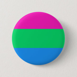 Polysexual Pride Flagga HBT-Pride Knapp