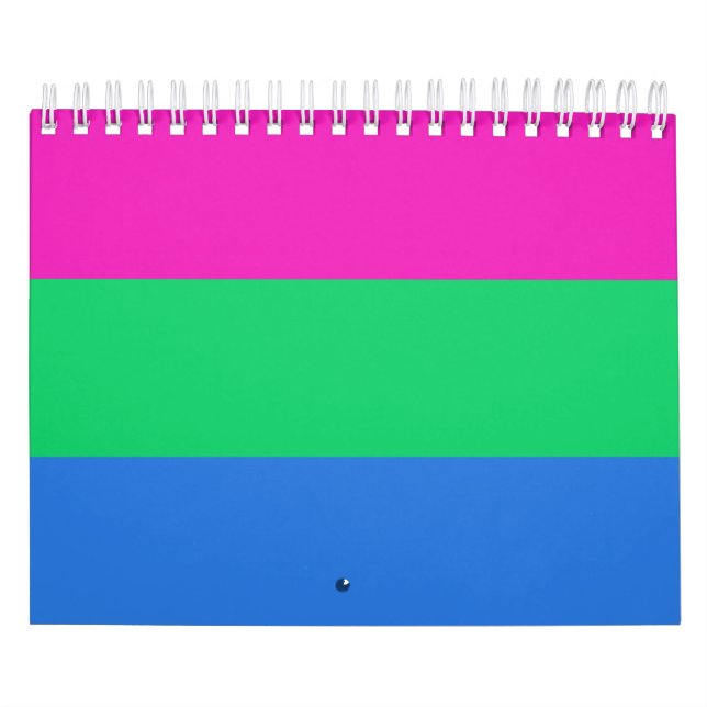 Polysexual Pride Flagga Kalender (Omslag)