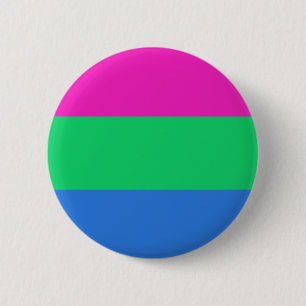 Polysexual Pride Flagga Knapp