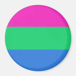 Polysexuell stolthetsflagga magnet