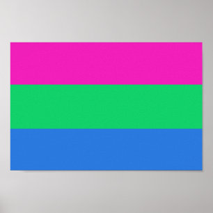 Polysexuell stolthetsflagga poster