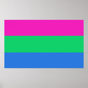 Polysexuell stolthetsflagga poster