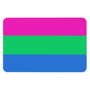 Polysexuellt Pride, Flagga Magnet