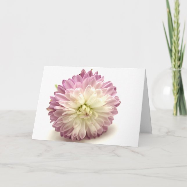 pom-pom kort (Framsida)