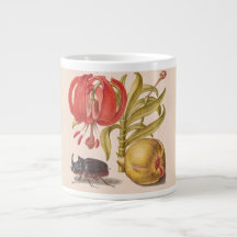 Pomegranat Flower, Fruit and Rhinoceros Beetle