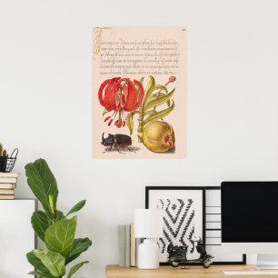Pomegranat Flower, Fruit and Rhinoceros Beetle Poster