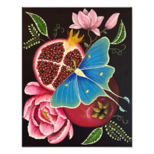 Pomegranat och Luna Moth Fine Art Print