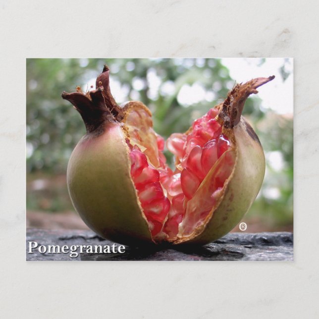Pomegranat-vykort Vykort (Framsida)