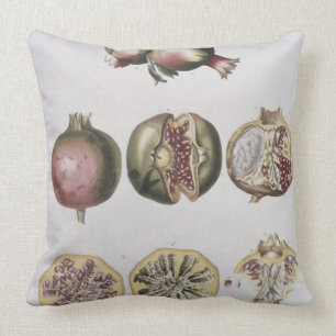 Pomegranate som inristas av Johann Jakob Haid Kudde