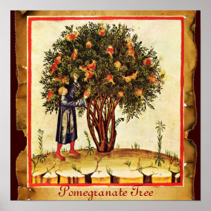 POMEGRANATE TRÄD ANTIQUE PARCHMENT POSTER