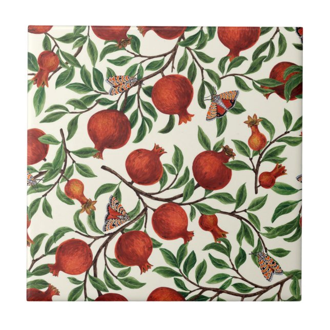 Pomegranater och Bella Moths på benvita Kakelplatta (Framsidan)