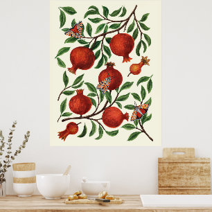Pomegranater och Bella Moths på benvita Poster