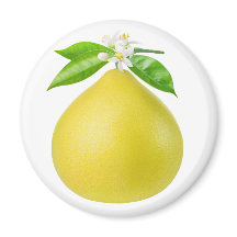 Pomelo på gren