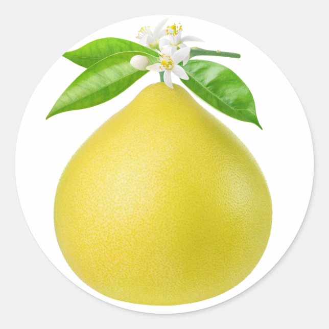 Pomelo på gren runt klistermärke (Framsida)