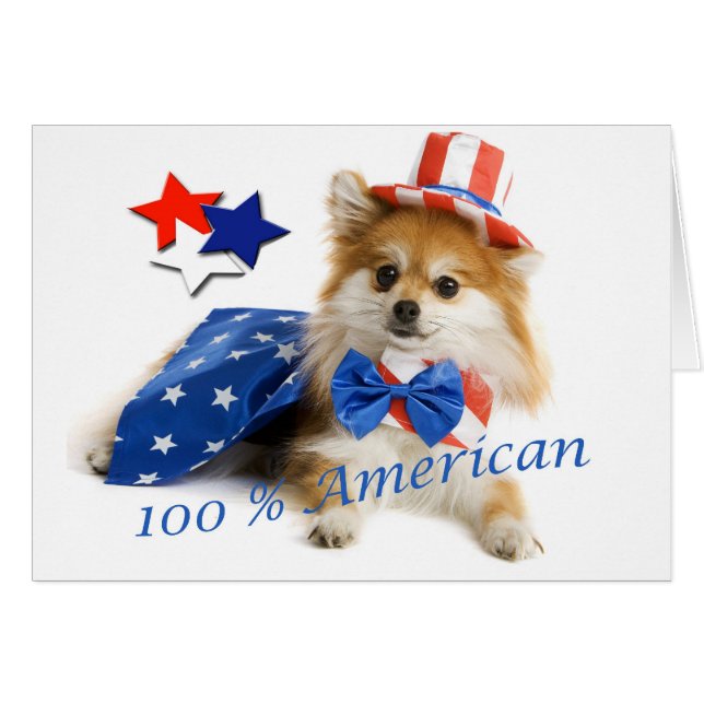 Pomeranian 100 procent amerikan hälsningskort (Framsidan Horizontal)