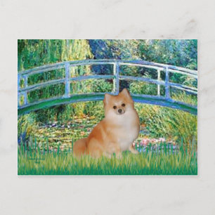 Pomeranian 3 - Bro Vykort
