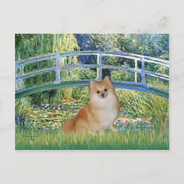 Pomeranian 3 - Bro Vykort (Framsida)