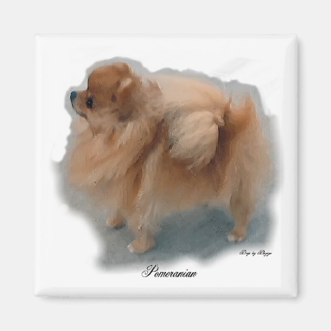 Pomeranian Älskare Gåvor Magnet (Framsidan)