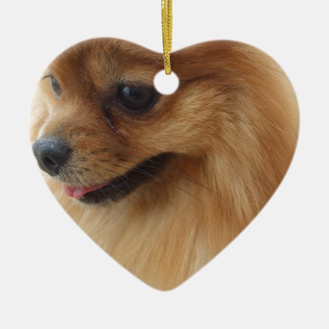 Pomeranian älskare julgransprydnad keramik (Framsidan)