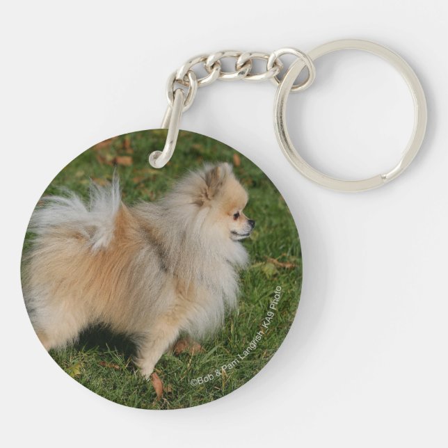 Pomeranian anseende (Baksidan)