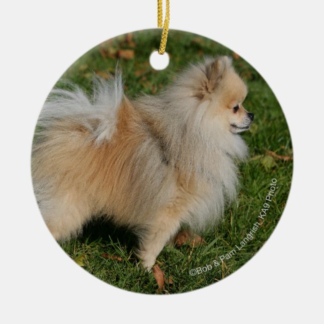 Pomeranian anseende julgransprydnad keramik (Framsidan)